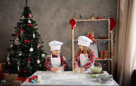 Cooking christmas cookies at home, kids bakers kneading gingerbread dough, preparing food on christmas eve, friendly brother and sisterの写真素材