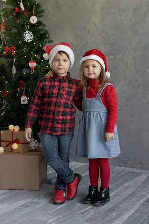 Close-up children at home near the Christmas tree, a boy with a girl in the room in a Santa hat, happy holidays, childhood together, family relationships.の写真素材