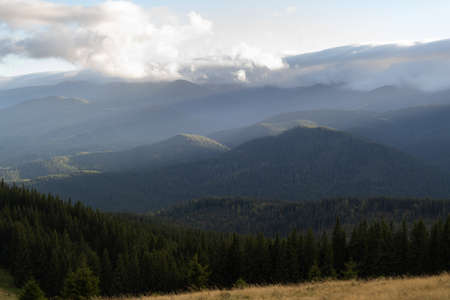 A magnificent panoramic view of the coniferous forest on the mighty Carpathian mountains and a beautiful background of the sky with clouds. The beauty of wild virgin Ukrainian nature.の写真素材