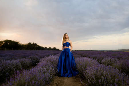 Young woman in a luxurious blue dress standing in a lavender field against the background of the sky.の写真素材