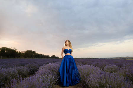 Young woman in a luxurious blue dress standing in a lavender field against the background of the sky.の写真素材