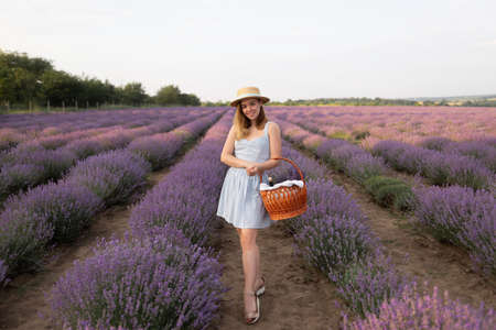 cute girl in a straw hat with a basket stands on a field of blooming lavender in summer at sunrise. A woman in a white dress holds a basket with a bouquet of fragrant flowers.の写真素材