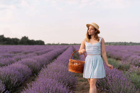 Summer season. Lavender fields. A girl on a picnic among the flowering fields stands in a white dress and holds a basket in her hands.の写真素材