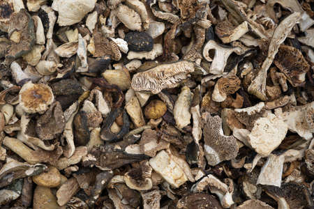Close-up of a pile of dried forest mushrooms for cooking. The backgroundの写真素材