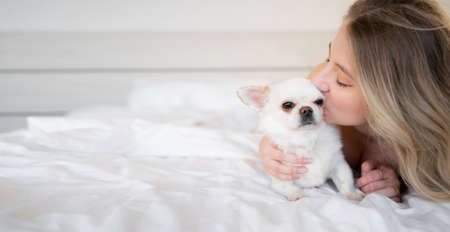 Beauty caucasian woman in pajamas in bed and kissing her cute little brown chihuahua dog Sleeping rest alone on the bed. Banner.の写真素材