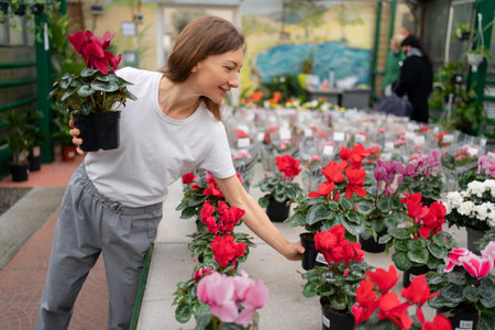A beautiful woman chooses houseplants in a greenhouse or garden center and holds a flower in a cyclamen pot in her hands. The concept of gardening, planting and shopping.の写真素材