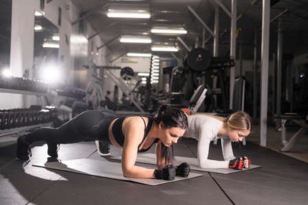 two young attractive women are engaged in training in the gym exercise plank for abdominal muscles. Healthy lifestyle, gymnastics concept,の写真素材
