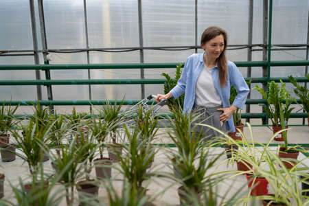 Pretty young woman buys houseplants at the garden center. A woman chooses a dracaena for her home in a plant nursery. Planting season. The concept of gardening, planting and shopping.の写真素材