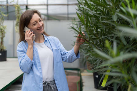 a young woman is shopping in a flower shop and choosing houseplants. makes a call using his smartphone.の写真素材