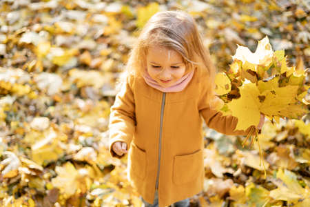 A happy little girl in a coat walks in the park in autumn through the fallen yellow foliage and rejoices.の写真素材