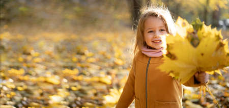 a cheerful child, a charming girl in a coat, playing among the fallen yellow maple leaves and collecting a dry bouquet. The suns rays fall through the trees in the autumn park at sunset. banner.の写真素材