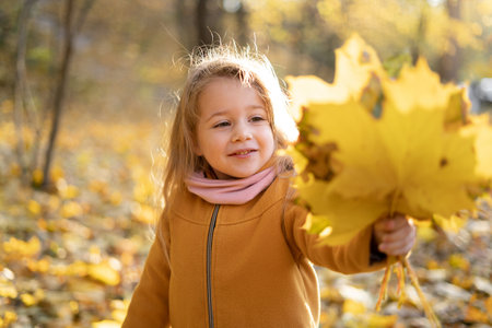a cheerful child, a charming girl in a coat, playing among the fallen yellow maple leaves and collecting a dry bouquet. The suns rays fall through the trees in the autumn park at sunset.の写真素材