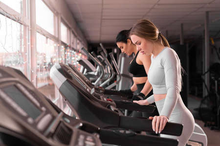 Side view of two attractive athletic women in the gym on a treadmill. girls on the threadmill. copy spaceの写真素材