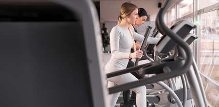two attractive athletic young women are training together in the gym. Perform exercise on a cardio machine. Banner. copyspace.の写真素材