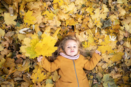 happy little child, girl laughs and plays in nature in autumn, walk outdoors, in park among fallen leavesの写真素材