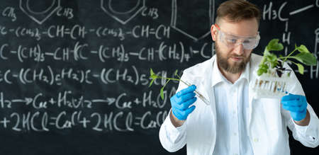 a scientist in a chemistry lab conducting a seedlings experiment with lab tools and a blackboard on backgroundの写真素材