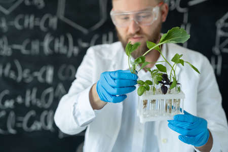 Male scientist growing plants in test tubes using biology laboratoryの写真素材
