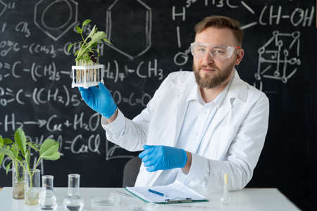 Portrait of male scientist working with green plant samples in the lab, school science biology, blackboard backgroundの写真素材