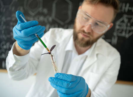 Male microbiologist holding a young plant with a syringe in it while working in a food lab, growing gmo plants in a labの写真素材