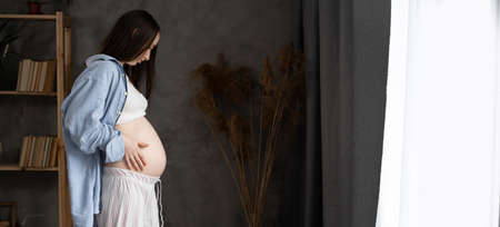 Young pregnant woman standing at home near the window. pregnancy, motherhood, people and expectation concept. banner, place for textの写真素材