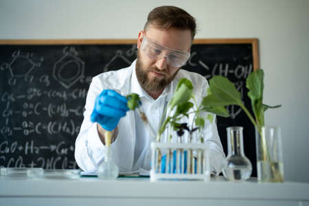 biochemist in latex gloves touching test tube with small plant while doing experiments in biotechnology labの写真素材