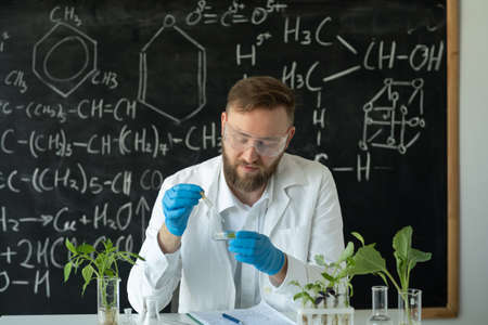 In a modern laboratory, researcher conducts experiments with synthesizing compounds using droppers and plants in test tube. Scientist in the laboratory on background of blackboard. GMOの写真素材