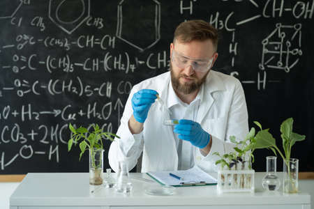 A biotechnologist in a modern laboratory conducts experiments with synthesizing compounds using droppers and plants in a test tube. Scientist seated in laboratory against blackboard background.の写真素材