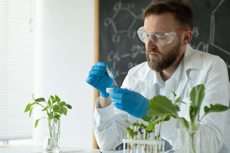 Scientist biochemist in laboratory using dropper for plant, gmo grown in a Petri dish. Conducts experiments by synthesisingの写真素材