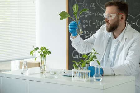 Scientist holding and examining samples with plants, young sample plant growing in test tube, biotechnology research concept.の写真素材