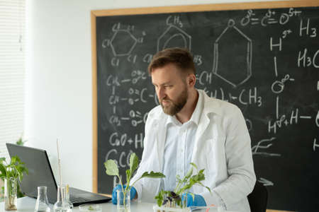 Male scientist working on a laptop computer, creating lab-grown food and plants for vegetarians. Microbiologist working in laboratoryの写真素材