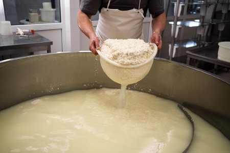 Cheese maker or worker taking curd from tank at cheese factory, closeup. Filtering fermentation...