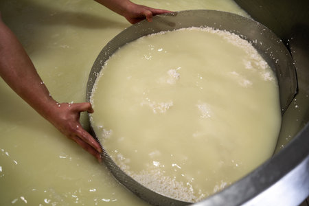 Manual worker or cheesemaker in cheese and milk dairy production factory. Traditional European handmade food manufacturing. top viewの写真素材