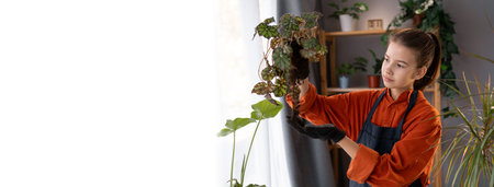Spring houseplant care. Teen girl is transplanting plant with small root at home.の写真素材