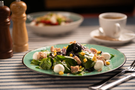 Italian tuna salad with mozzarella and olivesの写真素材
