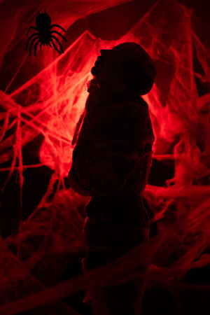 Man with spider in Creepy red blood spiderwebs background. horror or crimeの写真素材