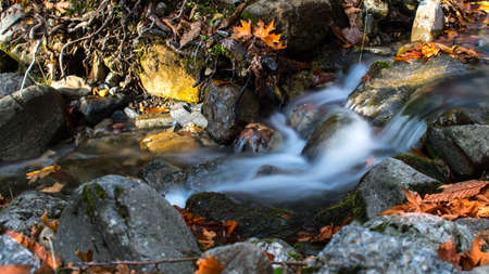 Natural water stream in the forest of Dirfi in Greeceの写真素材