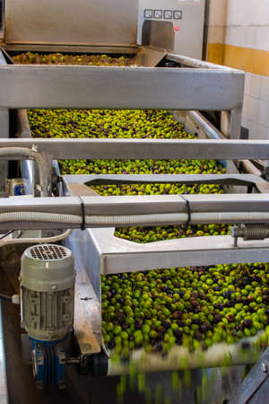 Olive oil extraction process in an olive oil press mill in Greeceの写真素材
