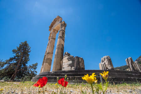 Tholos of Delphi situated in the sanctuary of Athena Pronaia in the archaeological site of Delphi in Fokida, Grecceの写真素材