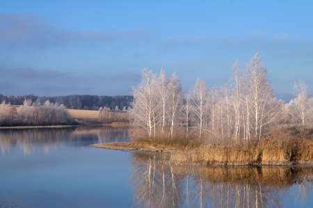 Winter landscape with a view of the lake and snow-covered trees on the shoreの写真素材
