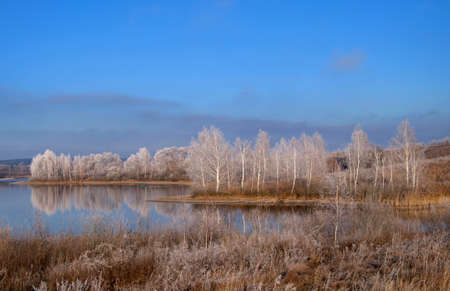 Winter landscape with a view of the lake and snow-covered trees on the shoreの写真素材