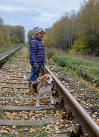 A boy of seven walks in autumn forest beagle dogsの写真素材