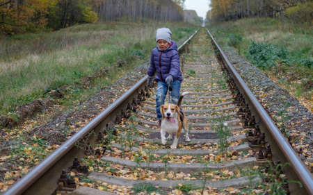 Boy seven years for a walk in the autumn forest with a dog beagleの写真素材