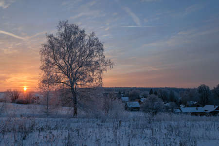 Winter landscape with a view of snow-covered trees at sunset backgroundの写真素材