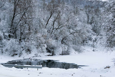 winter landscape with view of river with snow-covered trees on the banksの写真素材