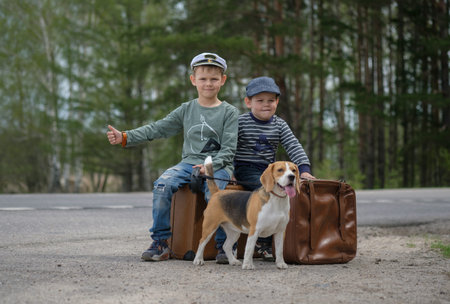 Two boys of European appearance sitting on suitcases with a Beagle dog