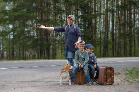 Mum with suitcases, two children and dog, the Beagle stops a passing car on a highwayの写真素材