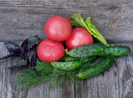 fresh herbs and vegetables on the old Boardの写真素材