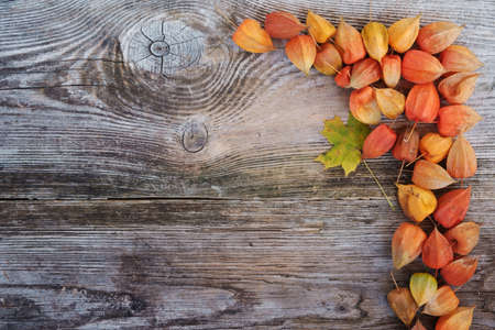 Orange glowing Physalis,Chinese lanterns, on an old wooden tableの写真素材