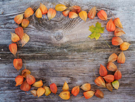 Orange glowing Physalis,Chinese lanterns, on an old wooden tableの写真素材