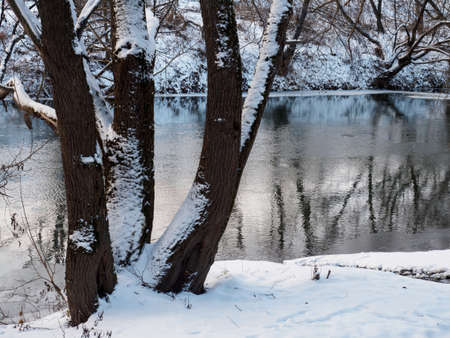 winter landscape with snow covered trees on river Bankの写真素材